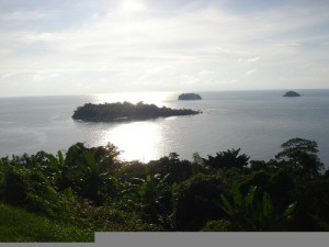 高台からの眺め